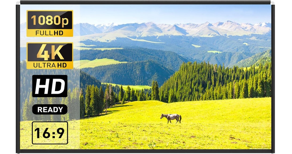 Projector Screen (120 inch)